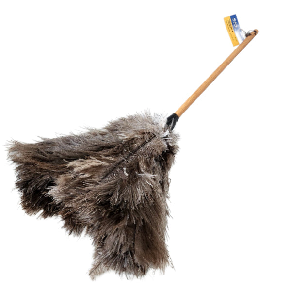 Natural feather duster with timber handle