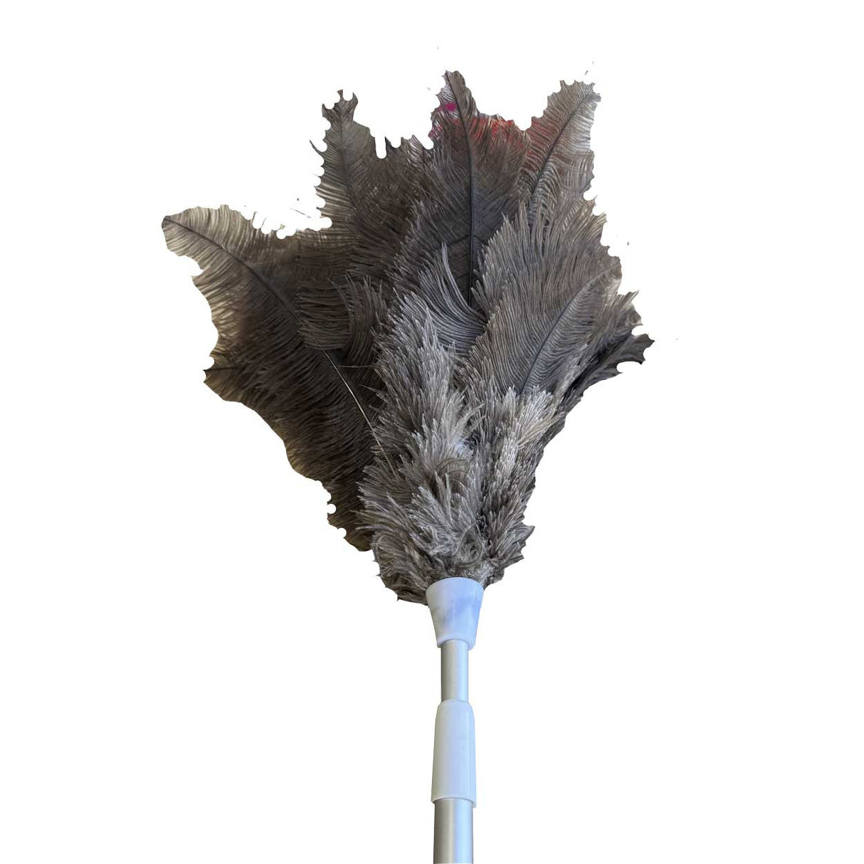 Ostrich Feather Duster Large with Extendable Handle (85cm)