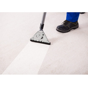 View All Carpet Cleaning Products