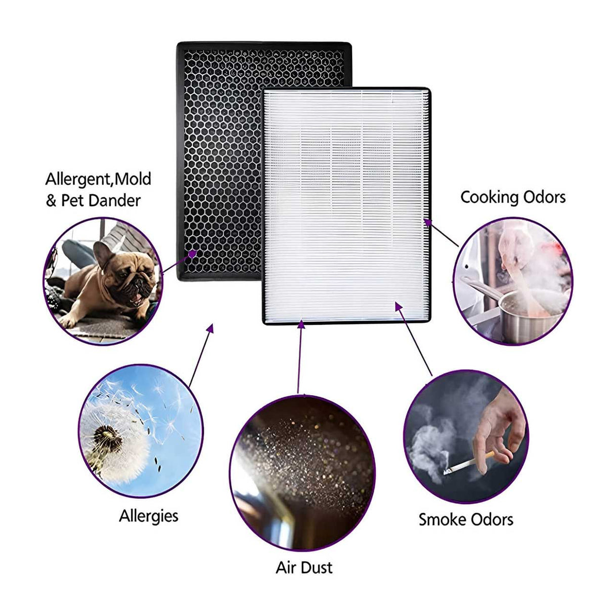 Carbon & HEPA Filter kit for Philips 2000 Series Air Purifiers AC Series (FY2420/30, FY2422/30)