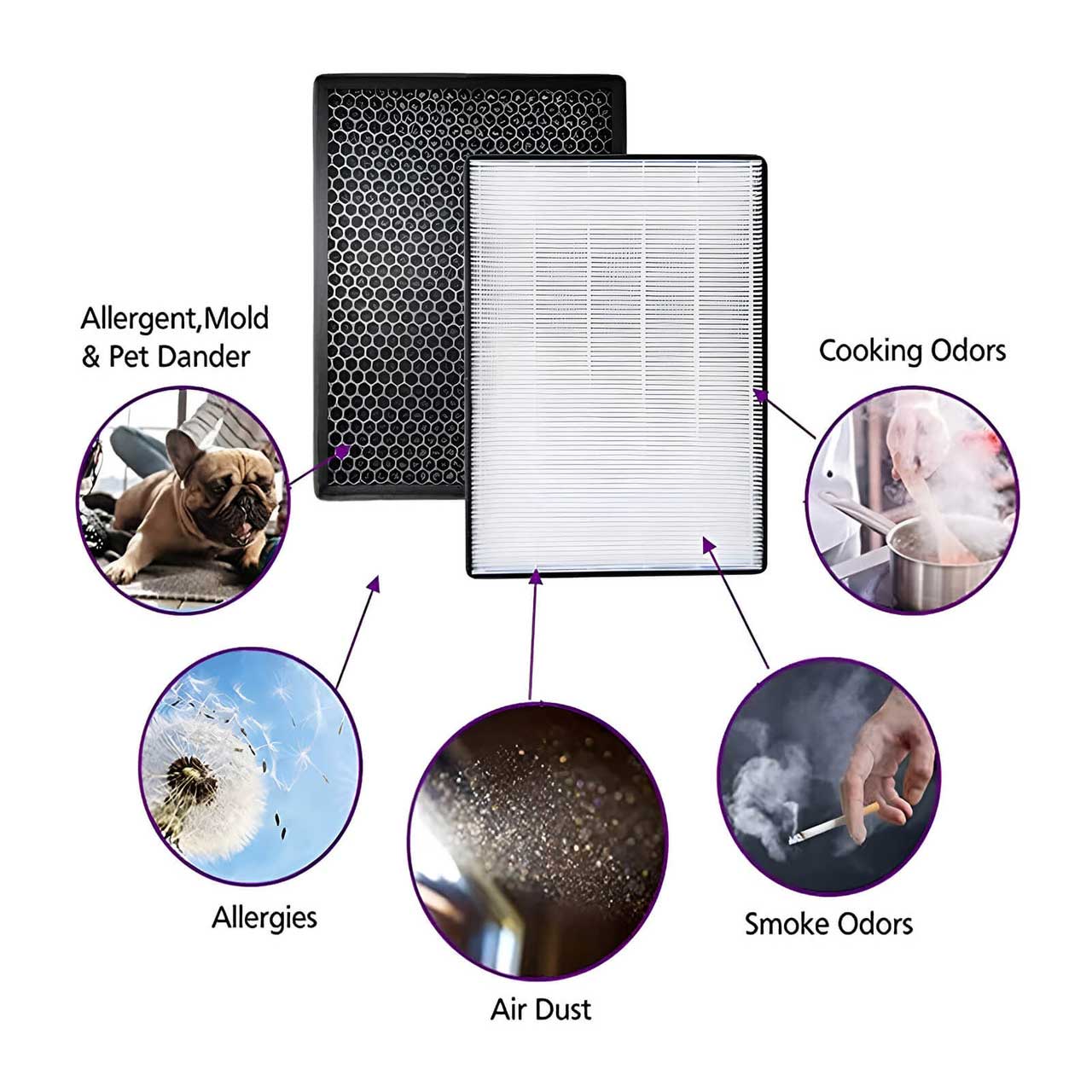 Carbon & HEPA Filter Kit for Philips FY2420/30 FY2422/30 2000 Series Air Purifiers