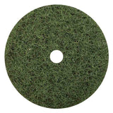 Green Regular Speed Floor Buffing Pad