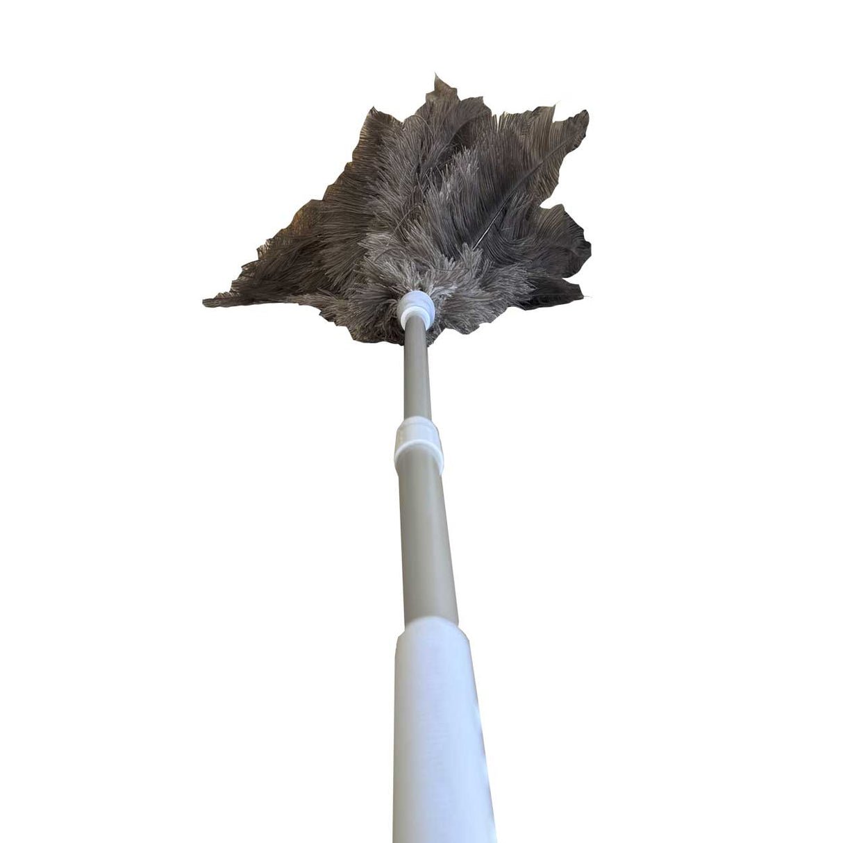 Ostrich Feather Duster Large with Extendable Handle